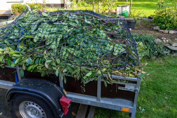 Best Moving and Downsizing Cleanouts  in Sophia, WV